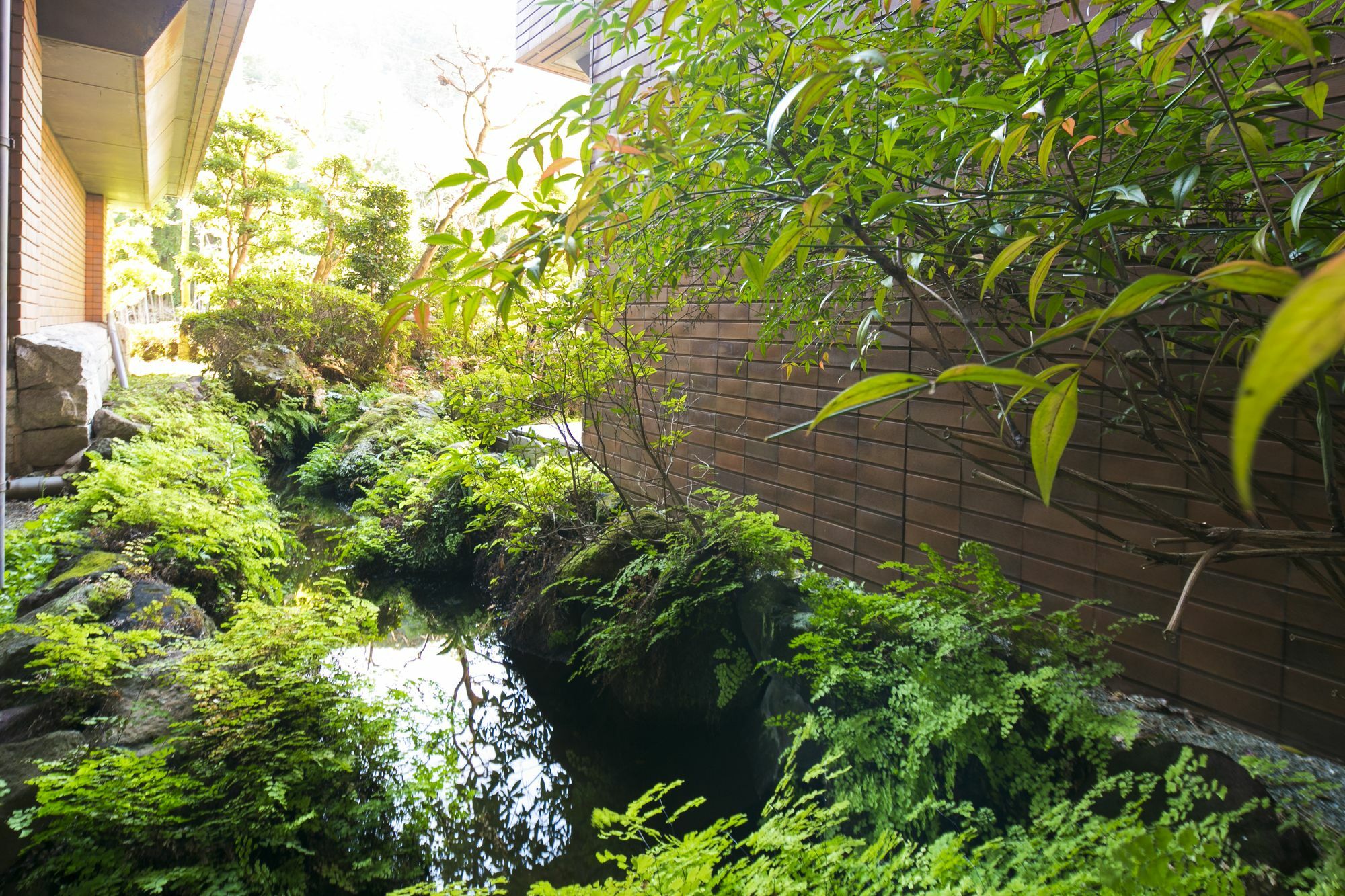 Hotel Yunosato Sugina Yugawara Exterior foto